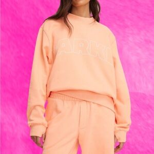 NWT PARKE X TARGET PEACH SWEATSHIRT